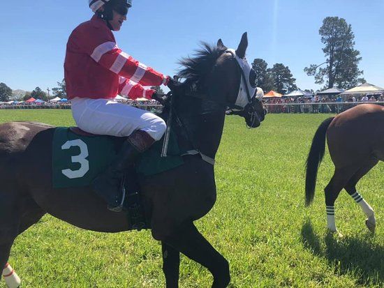 Aiken Steeplechase