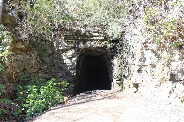 Stumphouse Tunnel