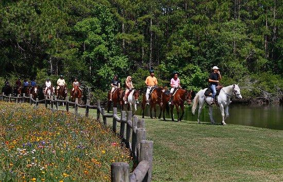 Lawton Stables