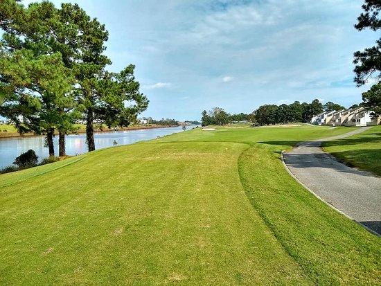 PineHills & Palmetto at Myrtlewood Golf Club