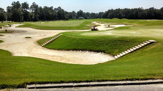 Long Bay Club