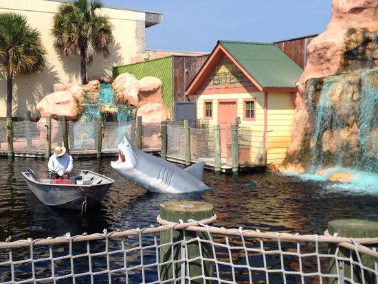 Shark Attack Adventure Golf
