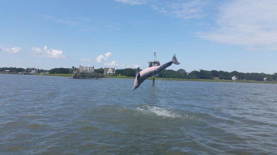 Harborview Charters