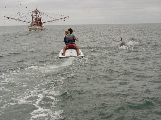 Thomas Outdoors Water Sports - Anchor Marina