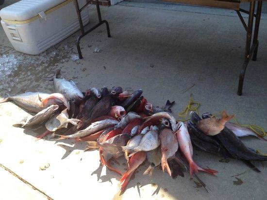 Voyager Fishing Charters