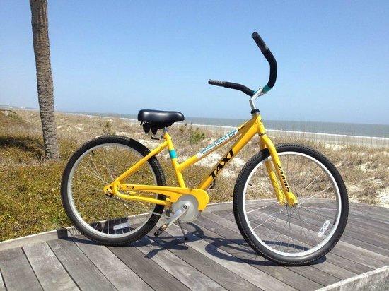 Paradise Beach Bikes