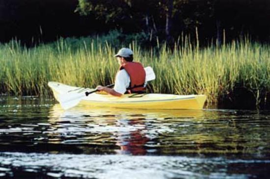 Barefoot Bubba's Kayak Rentals and Shop