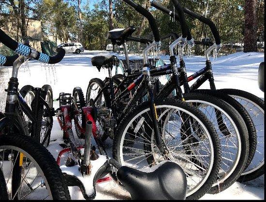 Mike's Bikes Bicycle Rentals