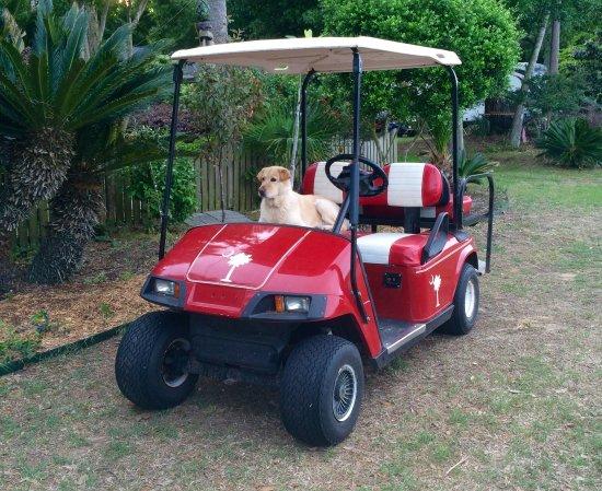 Isle of Palms Golf Carts