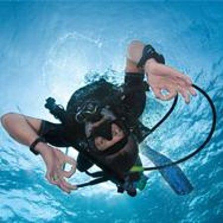 Lowcountry Scuba