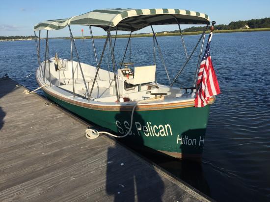 Dolphin and Nature Cruises