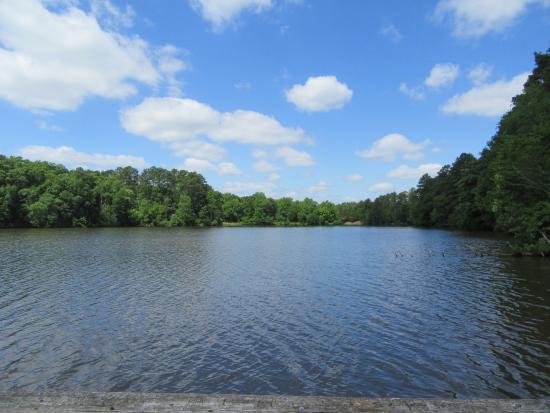 Chester State Park