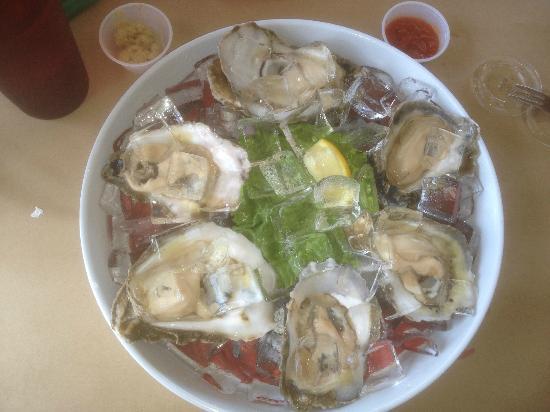 The Noizy Oyster