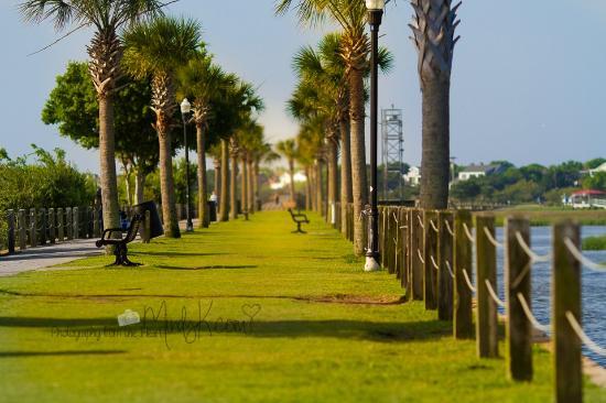 Pitt Street Bridge