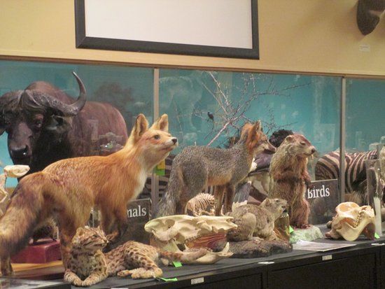 Museum of York County