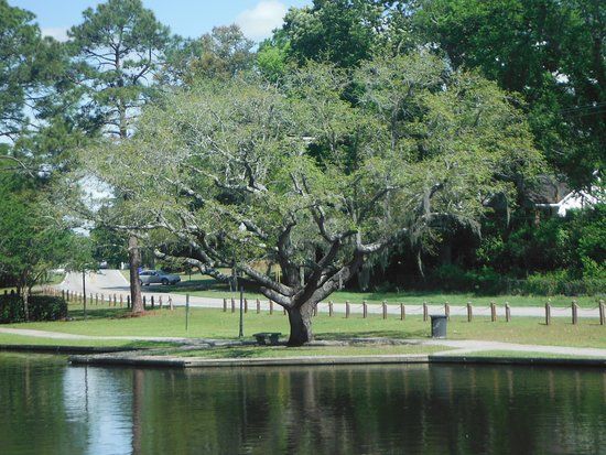 Quarterman Park